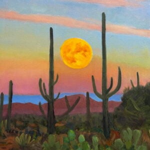Moon Over Arizona Desert